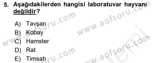 Laboratuvar Hayvanlarını Yetiştirme ve Sağlığı Dersi 2018 - 2019 Yılı (Vize) Ara Sınavı 5. Soru