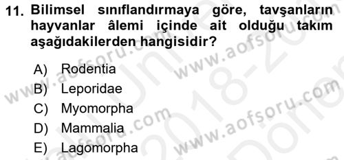 Laboratuvar Hayvanlarını Yetiştirme ve Sağlığı Dersi 2018 - 2019 Yılı (Final) Dönem Sonu Sınav Soruları 11. Soru