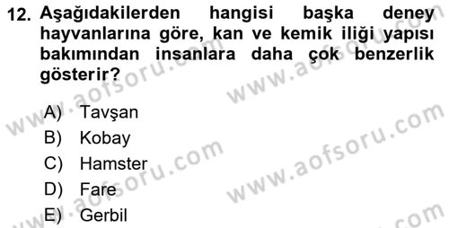 Laboratuvar Hayvanlarını Yetiştirme ve Sağlığı Dersi 2018 - 2019 Yılı (Final) Dönem Sonu Sınav Soruları 12. Soru