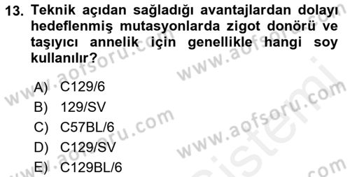 Laboratuvar Hayvanlarını Yetiştirme ve Sağlığı Dersi 2018 - 2019 Yılı (Final) Dönem Sonu Sınav Soruları 13. Soru