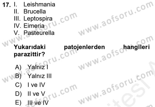 Laboratuvar Hayvanlarını Yetiştirme ve Sağlığı Dersi 2018 - 2019 Yılı (Final) Dönem Sonu Sınav Soruları 17. Soru