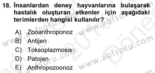 Laboratuvar Hayvanlarını Yetiştirme ve Sağlığı Dersi 2018 - 2019 Yılı (Final) Dönem Sonu Sınav Soruları 18. Soru