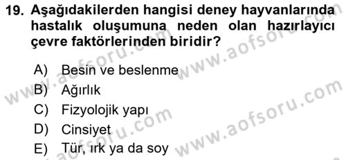 Laboratuvar Hayvanlarını Yetiştirme ve Sağlığı Dersi 2018 - 2019 Yılı (Final) Dönem Sonu Sınav Soruları 19. Soru