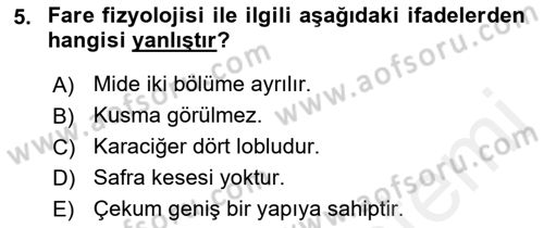 Laboratuvar Hayvanlarını Yetiştirme ve Sağlığı Dersi 2018 - 2019 Yılı (Final) Dönem Sonu Sınav Soruları 5. Soru