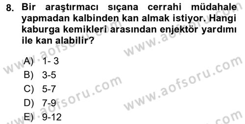 Laboratuvar Hayvanlarını Yetiştirme ve Sağlığı Dersi 2018 - 2019 Yılı (Final) Dönem Sonu Sınav Soruları 8. Soru