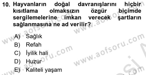 Laboratuvar Hayvanlarını Yetiştirme ve Sağlığı Dersi 2020 - 2021 Yılı Yaz Okulu Sınav Soruları 10. Soru