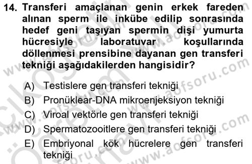 Laboratuvar Hayvanlarını Yetiştirme ve Sağlığı Dersi 2020 - 2021 Yılı Yaz Okulu Sınav Soruları 14. Soru