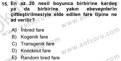 Laboratuvar Hayvanlarını Yetiştirme ve Sağlığı Dersi 2020 - 2021 Yılı Yaz Okulu Sınav Soruları 15. Soru