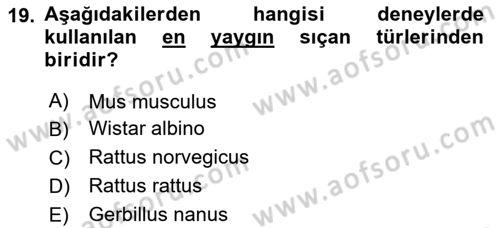 Laboratuvar Hayvanlarını Yetiştirme ve Sağlığı Dersi 2020 - 2021 Yılı Yaz Okulu Sınav Soruları 19. Soru