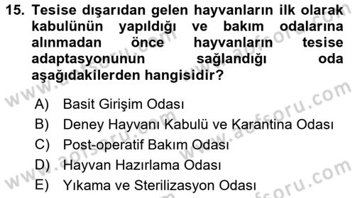 Laboratuvar Hayvanlarını Yetiştirme ve Sağlığı Dersi 2021 - 2022 Yılı (Vize) Ara Sınav Soruları 15. Soru