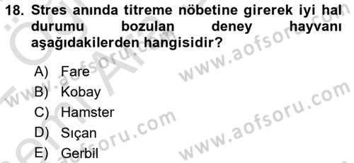 Laboratuvar Hayvanlarını Yetiştirme ve Sağlığı Dersi 2021 - 2022 Yılı (Vize) Ara Sınav Soruları 18. Soru