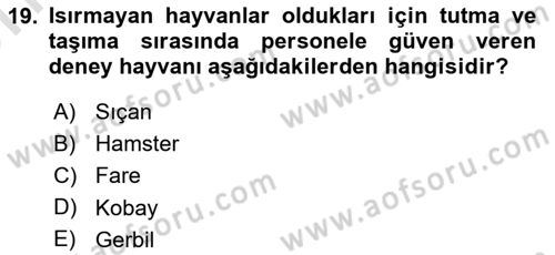 Laboratuvar Hayvanlarını Yetiştirme ve Sağlığı Dersi 2021 - 2022 Yılı (Vize) Ara Sınav Soruları 19. Soru