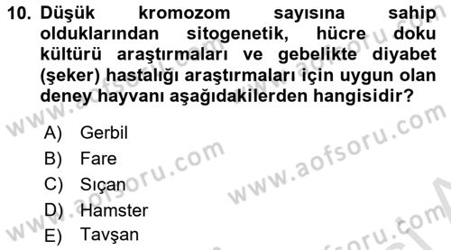 Laboratuvar Hayvanlarını Yetiştirme ve Sağlığı Dersi 2021 - 2022 Yılı (Final) Dönem Sonu Sınav Soruları 10. Soru