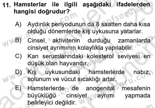 Laboratuvar Hayvanlarını Yetiştirme ve Sağlığı Dersi 2021 - 2022 Yılı (Final) Dönem Sonu Sınav Soruları 11. Soru