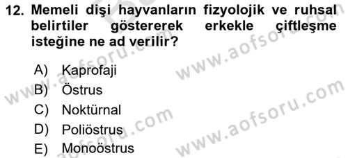Laboratuvar Hayvanlarını Yetiştirme ve Sağlığı Dersi 2021 - 2022 Yılı (Final) Dönem Sonu Sınav Soruları 12. Soru
