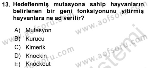 Laboratuvar Hayvanlarını Yetiştirme ve Sağlığı Dersi 2021 - 2022 Yılı (Final) Dönem Sonu Sınav Soruları 13. Soru