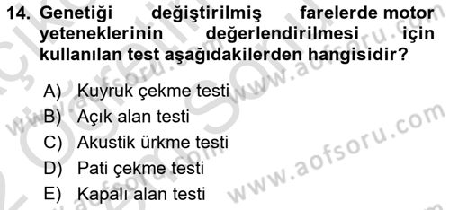 Laboratuvar Hayvanlarını Yetiştirme ve Sağlığı Dersi 2021 - 2022 Yılı (Final) Dönem Sonu Sınav Soruları 14. Soru