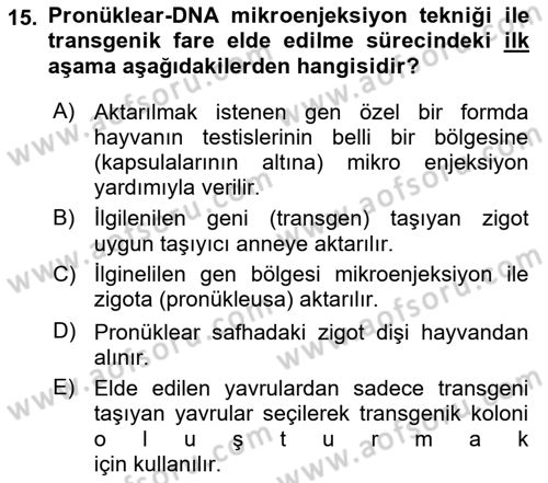 Laboratuvar Hayvanlarını Yetiştirme ve Sağlığı Dersi 2021 - 2022 Yılı (Final) Dönem Sonu Sınav Soruları 15. Soru
