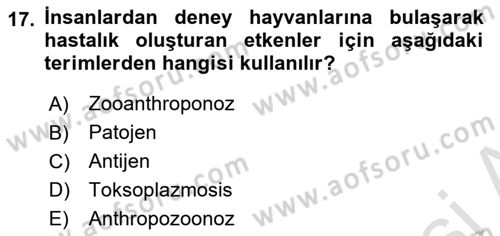 Laboratuvar Hayvanlarını Yetiştirme ve Sağlığı Dersi 2021 - 2022 Yılı (Final) Dönem Sonu Sınav Soruları 17. Soru