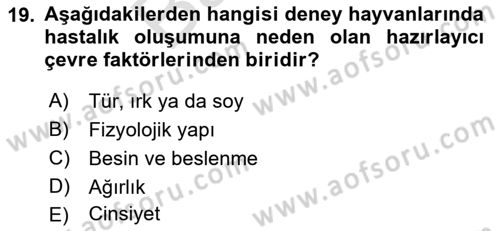 Laboratuvar Hayvanlarını Yetiştirme ve Sağlığı Dersi 2021 - 2022 Yılı (Final) Dönem Sonu Sınav Soruları 19. Soru