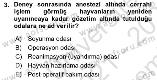 Laboratuvar Hayvanlarını Yetiştirme ve Sağlığı Dersi 2021 - 2022 Yılı (Final) Dönem Sonu Sınav Soruları 3. Soru