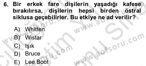 Laboratuvar Hayvanlarını Yetiştirme ve Sağlığı Dersi 2021 - 2022 Yılı (Final) Dönem Sonu Sınav Soruları 6. Soru