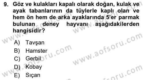 Laboratuvar Hayvanlarını Yetiştirme ve Sağlığı Dersi 2021 - 2022 Yılı (Final) Dönem Sonu Sınav Soruları 9. Soru