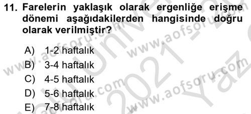 Laboratuvar Hayvanlarını Yetiştirme ve Sağlığı Dersi 2021 - 2022 Yılı Yaz Okulu Sınavı 11. Soru