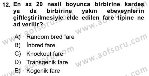 Laboratuvar Hayvanlarını Yetiştirme ve Sağlığı Dersi 2021 - 2022 Yılı Yaz Okulu Sınavı 12. Soru