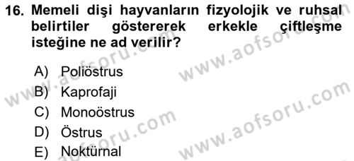 Laboratuvar Hayvanlarını Yetiştirme ve Sağlığı Dersi 2021 - 2022 Yılı Yaz Okulu Sınavı 16. Soru