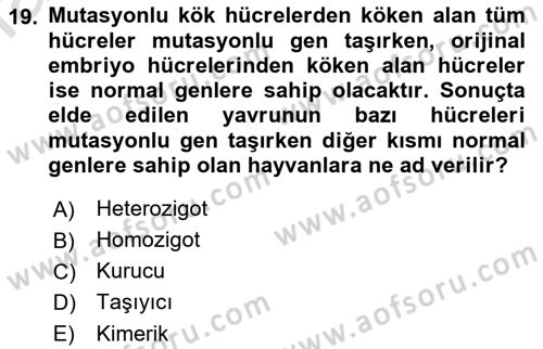 Laboratuvar Hayvanlarını Yetiştirme ve Sağlığı Dersi 2021 - 2022 Yılı Yaz Okulu Sınavı 19. Soru