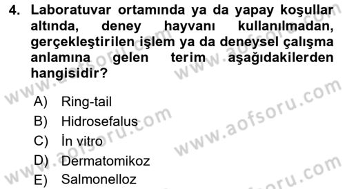 Laboratuvar Hayvanlarını Yetiştirme ve Sağlığı Dersi 2021 - 2022 Yılı Yaz Okulu Sınavı 4. Soru