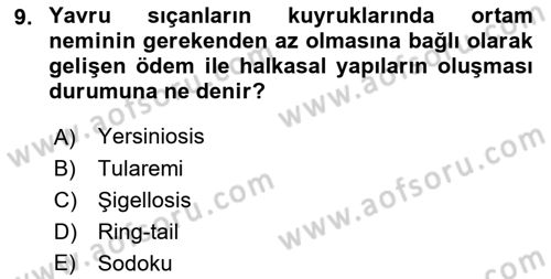 Laboratuvar Hayvanlarını Yetiştirme ve Sağlığı Dersi 2021 - 2022 Yılı Yaz Okulu Sınavı 9. Soru