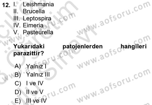 Laboratuvar Hayvanlarını Yetiştirme ve Sağlığı Dersi 2022 - 2023 Yılı Yaz Okulu Sınav Soruları 12. Soru