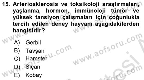 Laboratuvar Hayvanlarını Yetiştirme ve Sağlığı Dersi 2022 - 2023 Yılı Yaz Okulu Sınav Soruları 15. Soru