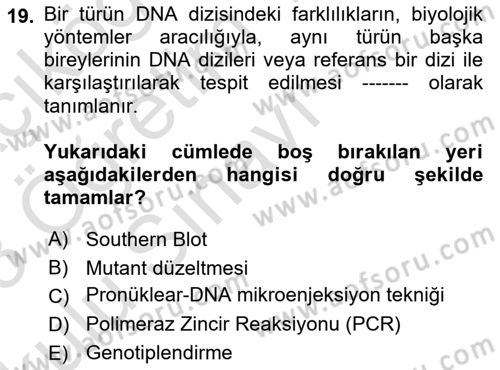 Laboratuvar Hayvanlarını Yetiştirme ve Sağlığı Dersi 2022 - 2023 Yılı Yaz Okulu Sınav Soruları 19. Soru
