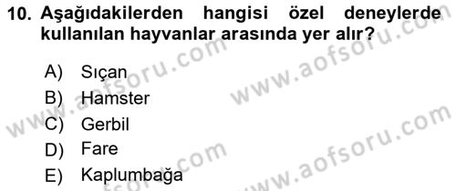 Laboratuvar Hayvanlarını Yetiştirme ve Sağlığı Dersi 2023 - 2024 Yılı (Final) Dönem Sonu Sınav Soruları 10. Soru
