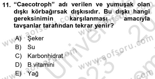Laboratuvar Hayvanlarını Yetiştirme ve Sağlığı Dersi 2023 - 2024 Yılı (Final) Dönem Sonu Sınav Soruları 11. Soru