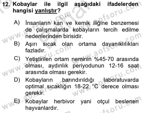 Laboratuvar Hayvanlarını Yetiştirme ve Sağlığı Dersi 2023 - 2024 Yılı (Final) Dönem Sonu Sınav Soruları 12. Soru