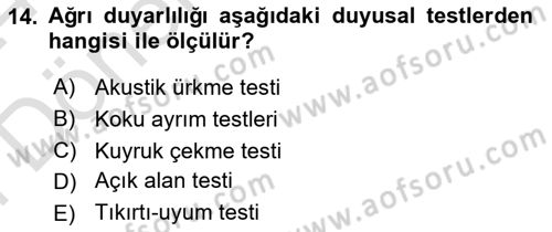 Laboratuvar Hayvanlarını Yetiştirme ve Sağlığı Dersi 2023 - 2024 Yılı (Final) Dönem Sonu Sınav Soruları 14. Soru