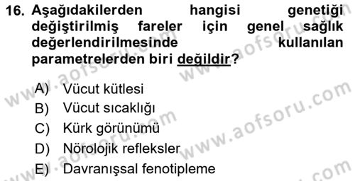 Laboratuvar Hayvanlarını Yetiştirme ve Sağlığı Dersi 2023 - 2024 Yılı (Final) Dönem Sonu Sınav Soruları 16. Soru