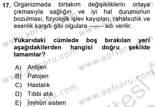 Laboratuvar Hayvanlarını Yetiştirme ve Sağlığı Dersi 2023 - 2024 Yılı (Final) Dönem Sonu Sınav Soruları 17. Soru