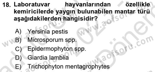 Laboratuvar Hayvanlarını Yetiştirme ve Sağlığı Dersi 2023 - 2024 Yılı (Final) Dönem Sonu Sınav Soruları 18. Soru