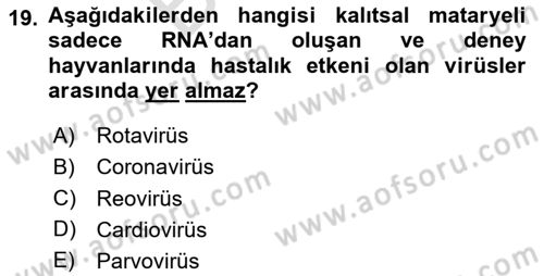 Laboratuvar Hayvanlarını Yetiştirme ve Sağlığı Dersi 2023 - 2024 Yılı (Final) Dönem Sonu Sınav Soruları 19. Soru