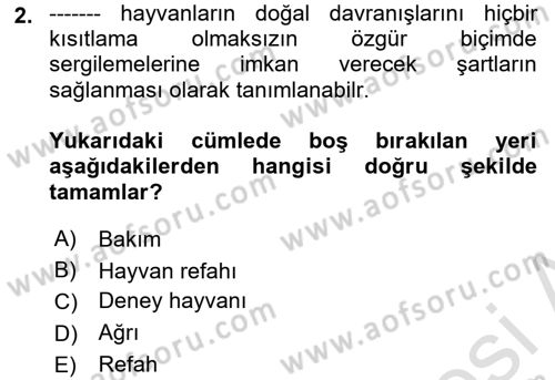 Laboratuvar Hayvanlarını Yetiştirme ve Sağlığı Dersi 2023 - 2024 Yılı (Final) Dönem Sonu Sınav Soruları 2. Soru
