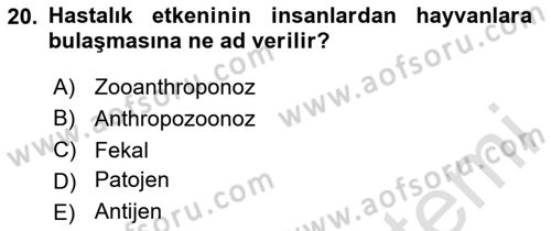 Laboratuvar Hayvanlarını Yetiştirme ve Sağlığı Dersi 2023 - 2024 Yılı (Final) Dönem Sonu Sınav Soruları 20. Soru