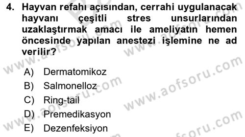 Laboratuvar Hayvanlarını Yetiştirme ve Sağlığı Dersi 2023 - 2024 Yılı (Final) Dönem Sonu Sınav Soruları 4. Soru