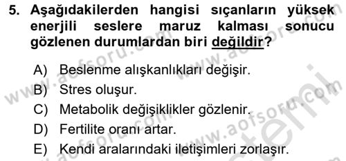Laboratuvar Hayvanlarını Yetiştirme ve Sağlığı Dersi 2023 - 2024 Yılı (Final) Dönem Sonu Sınav Soruları 5. Soru