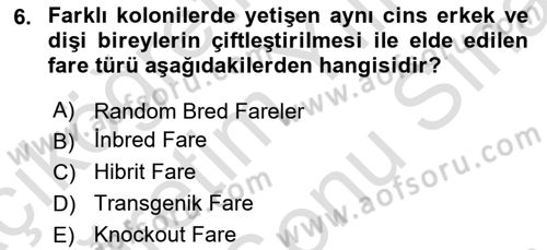 Laboratuvar Hayvanlarını Yetiştirme ve Sağlığı Dersi 2023 - 2024 Yılı (Final) Dönem Sonu Sınav Soruları 6. Soru