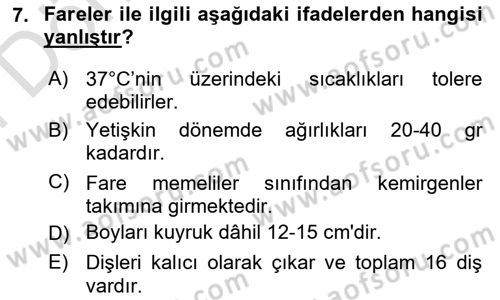 Laboratuvar Hayvanlarını Yetiştirme ve Sağlığı Dersi 2023 - 2024 Yılı (Final) Dönem Sonu Sınav Soruları 7. Soru